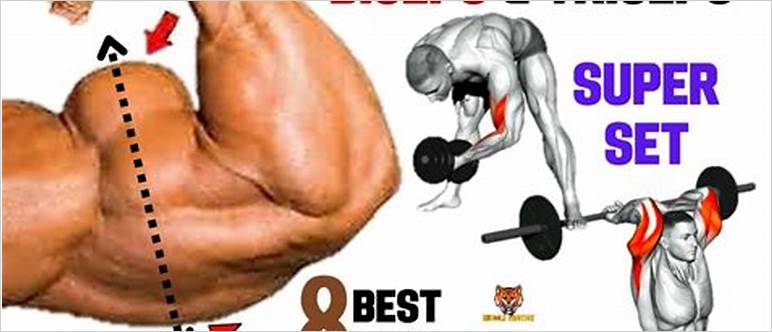 Biceps and triceps superset
